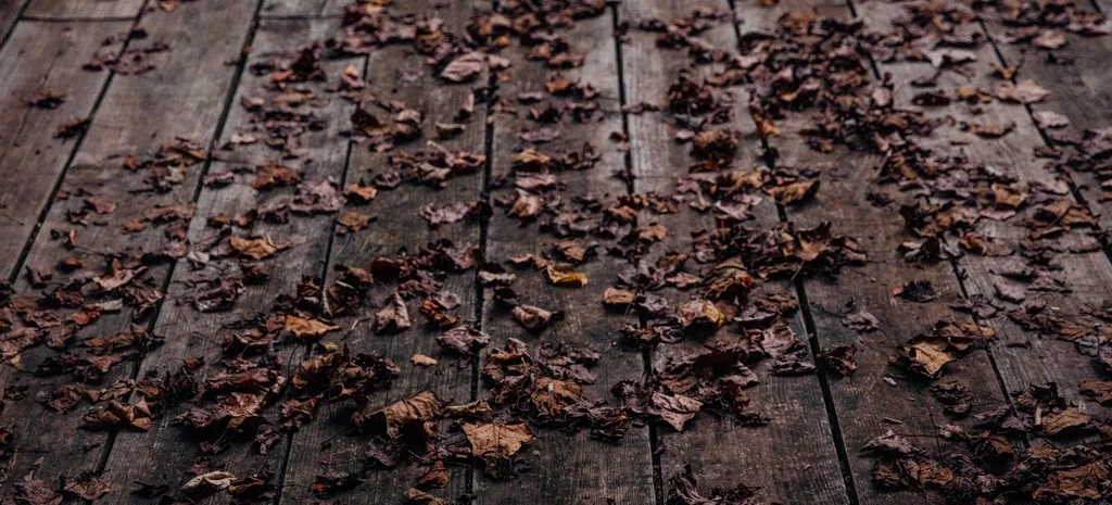 Dark deck boards scattered with wet fallen autumn leaves